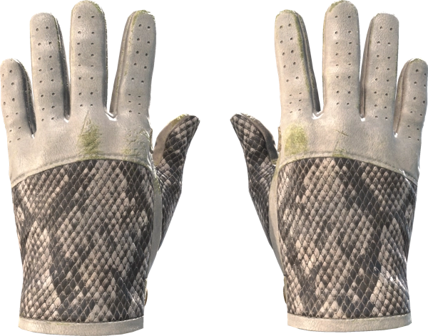 ★ Driver Gloves | King Snake