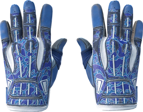 ★ Sport Gloves | Amphibious