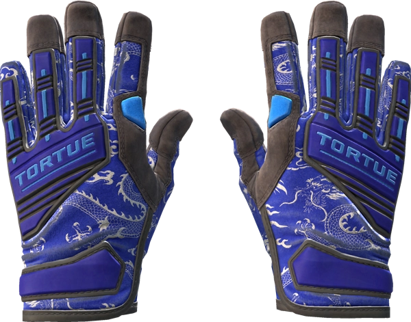 ★ Specialist Gloves | Cloud Chaser
