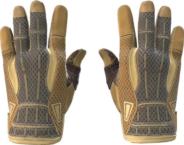 ★ Sport Gloves | Arid