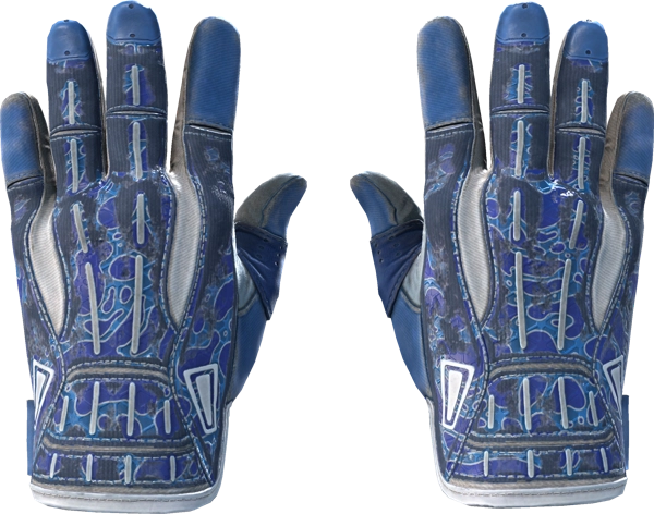 ★ Sport Gloves | Amphibious