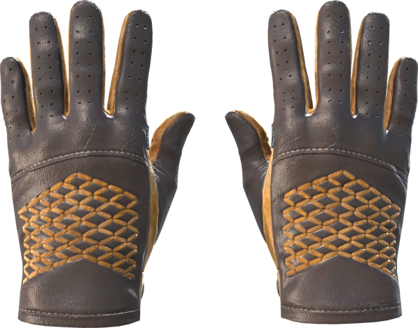 ★ Driver Gloves | Overtake