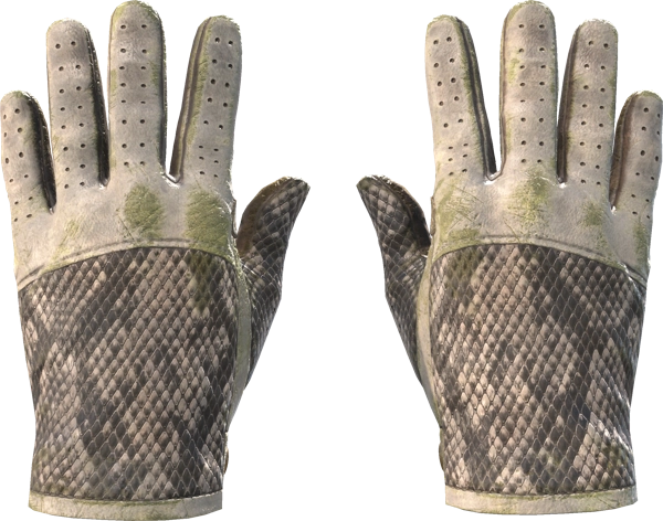 ★ Driver Gloves | King Snake