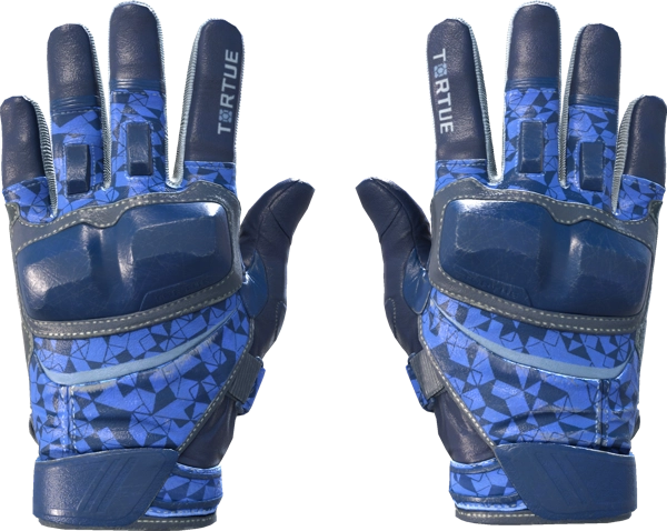 ★ Moto Gloves | Polygon