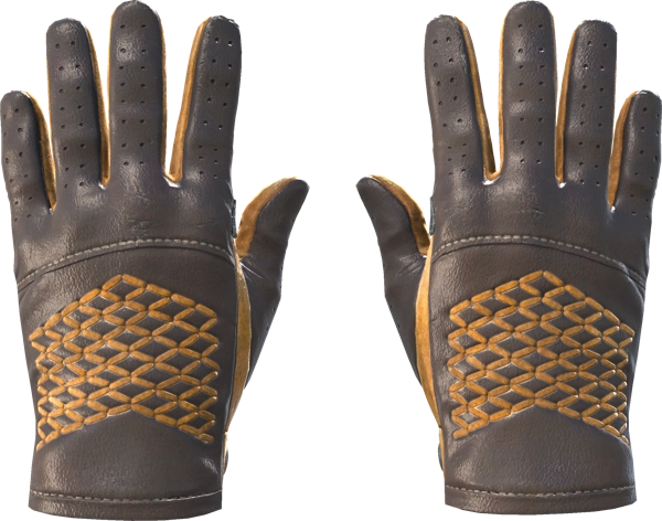 ★ Driver Gloves | Overtake