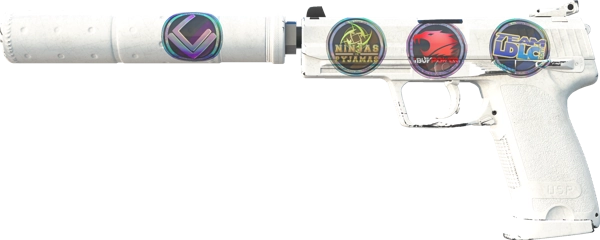 USP-S | Whiteout