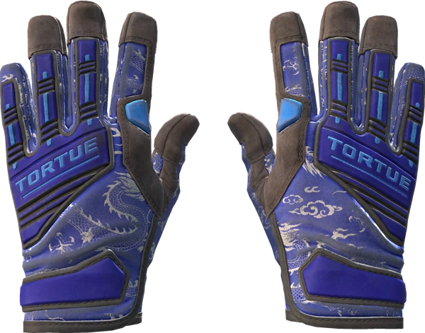 ★ Specialist Gloves | Cloud Chaser
