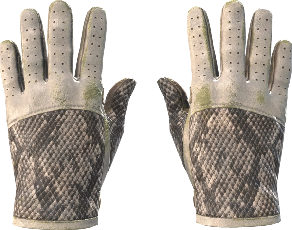 ★ Driver Gloves | King Snake