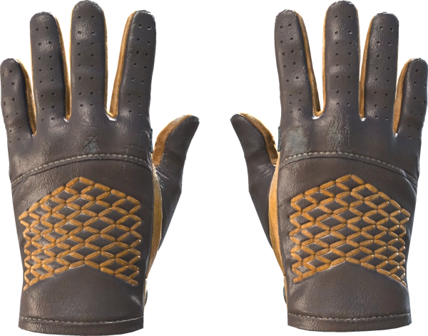 ★ Driver Gloves | Overtake