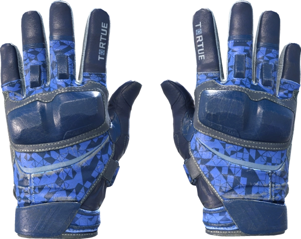 ★ Moto Gloves | Polygon