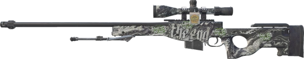 AWP | The End