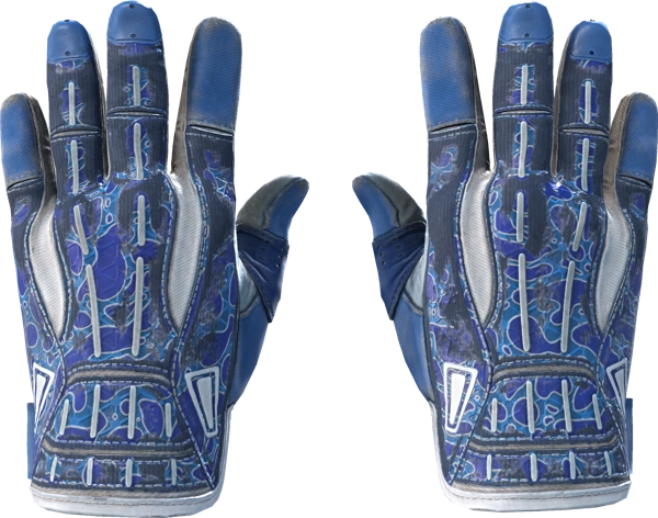 ★ Sport Gloves | Amphibious