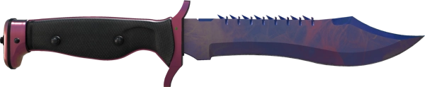 ★ Bowie Knife | Doppler