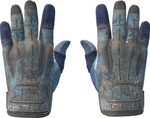 ★ Sport Gloves | Frosty