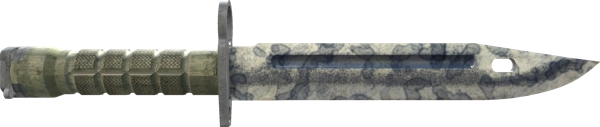 ★ Bayonet | Stained