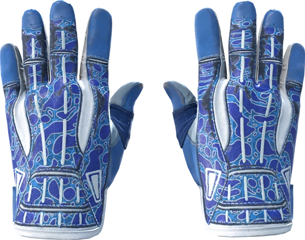 ★ Sport Gloves | Amphibious