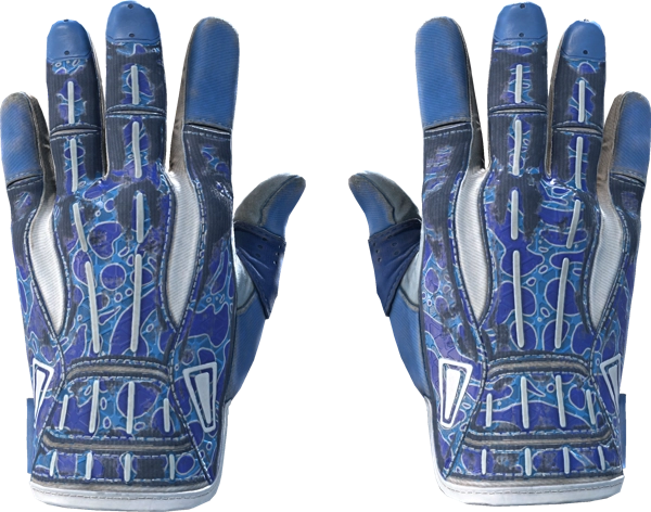 ★ Sport Gloves | Amphibious