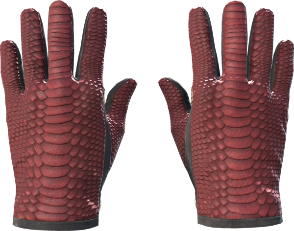 ★ Driver Gloves | Dragon Fists