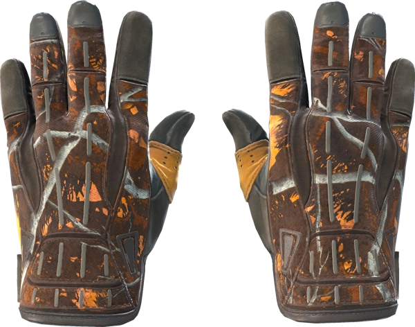 ★ Sport Gloves | Big Game