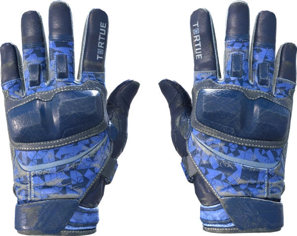 ★ Moto Gloves | Polygon