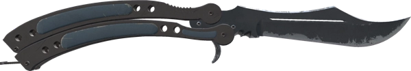 ★ Butterfly Knife | Night