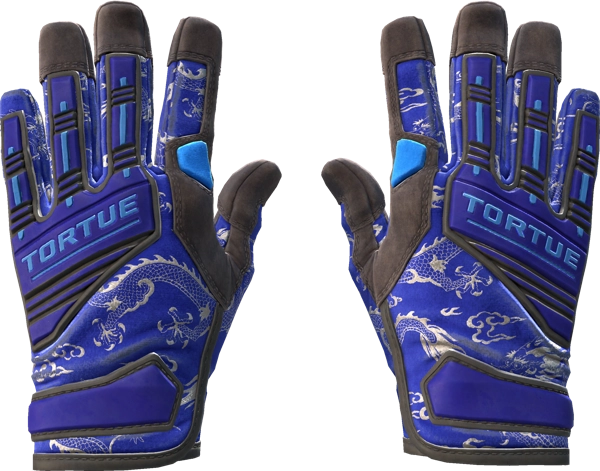★ Specialist Gloves | Cloud Chaser