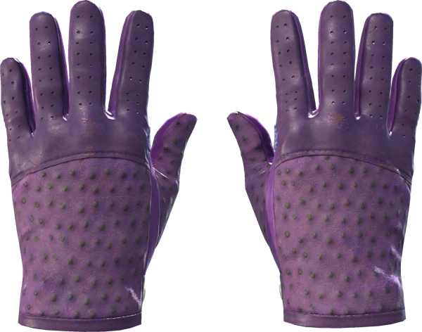 ★ Driver Gloves | Plum Quill