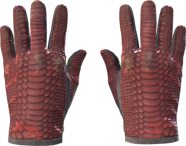 ★ Driver Gloves | Dragon Fists