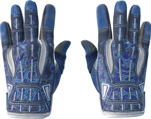 ★ Sport Gloves | Amphibious