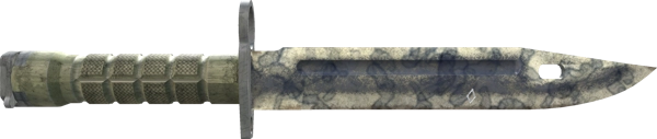 ★ StatTrak™ Bayonet | Stained