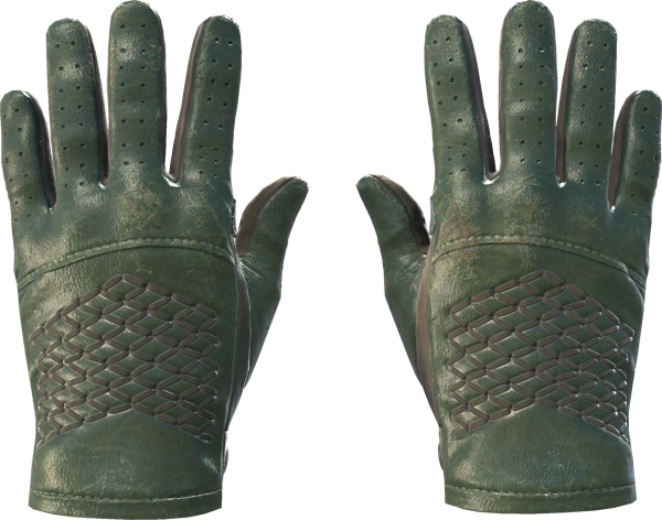★ Driver Gloves | Racing Green