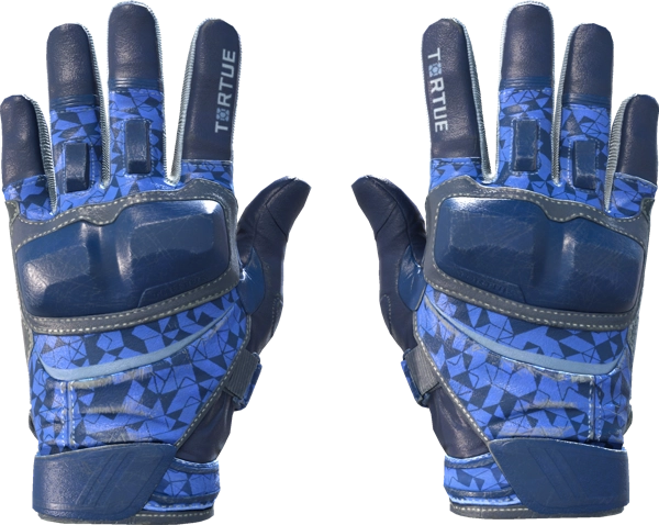 ★ Moto Gloves | Polygon