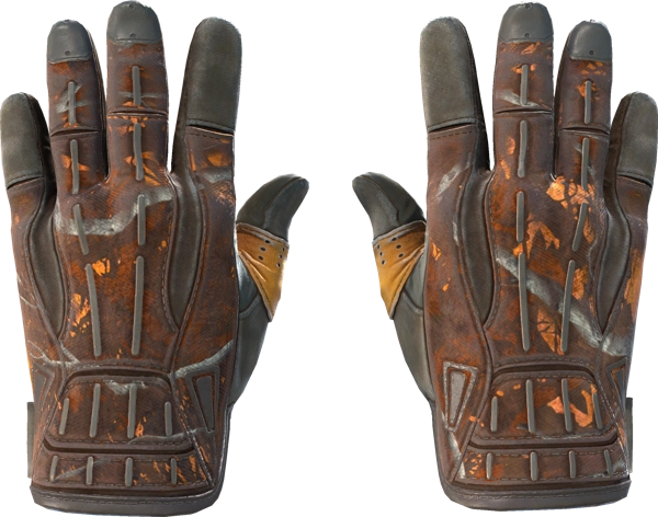 ★ Sport Gloves | Big Game