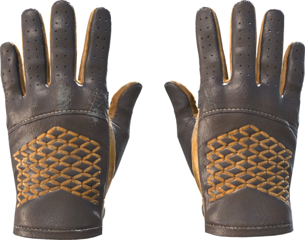 ★ Driver Gloves | Overtake