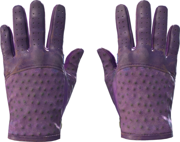 ★ Driver Gloves | Plum Quill