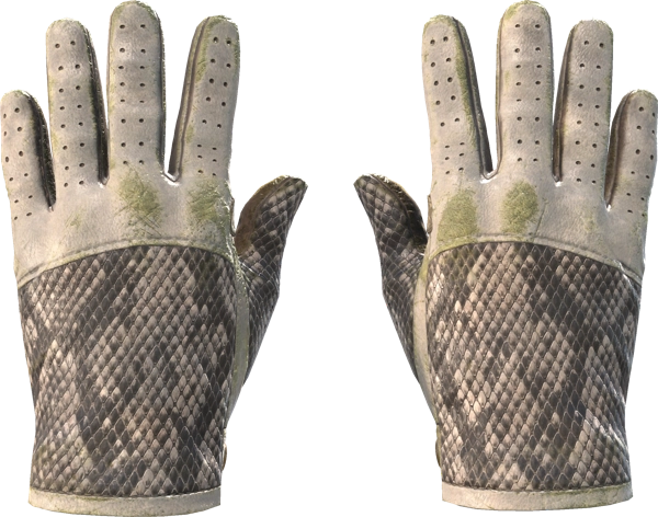 ★ Driver Gloves | King Snake