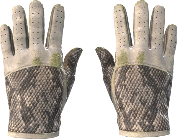 ★ Driver Gloves | King Snake