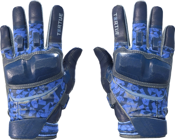 ★ Moto Gloves | Polygon