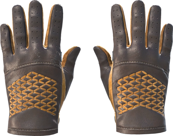 ★ Driver Gloves | Overtake