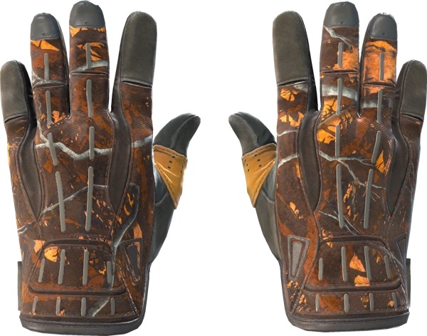 ★ Sport Gloves | Big Game