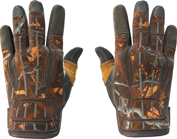 ★ Sport Gloves | Big Game
