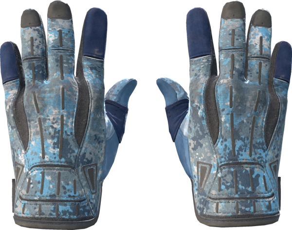 ★ Sport Gloves | Frosty