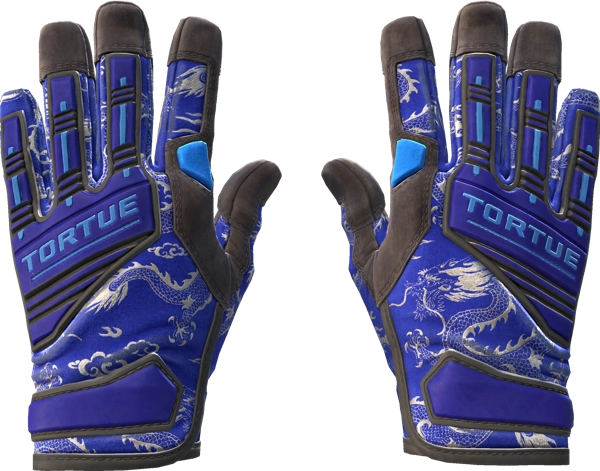 ★ Specialist Gloves | Cloud Chaser