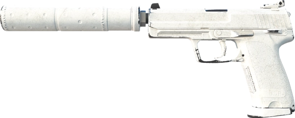 USP-S | Whiteout