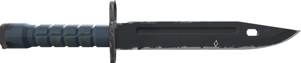 ★ StatTrak™ Bayonet | Night
