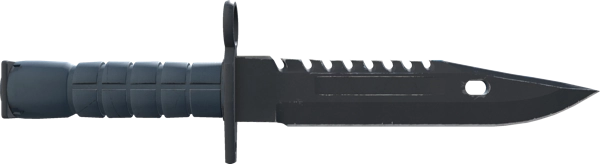 ★ M9 Bayonet | Night