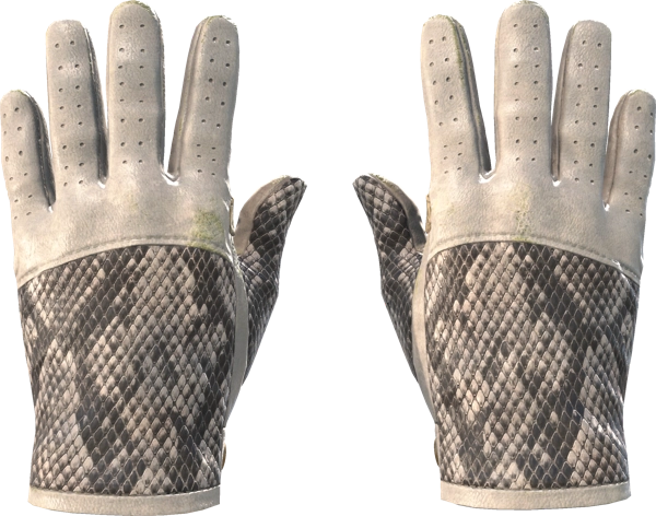 ★ Driver Gloves | King Snake