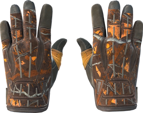 ★ Sport Gloves | Big Game