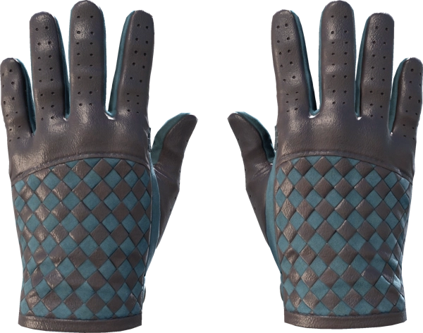 ★ Driver Gloves | Lunar Weave