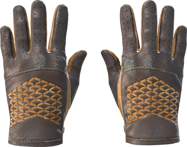 ★ Driver Gloves | Overtake